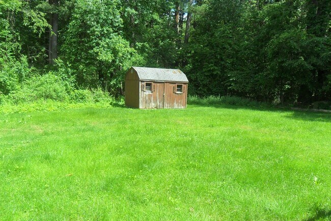 Photo - 141 Myrtle St