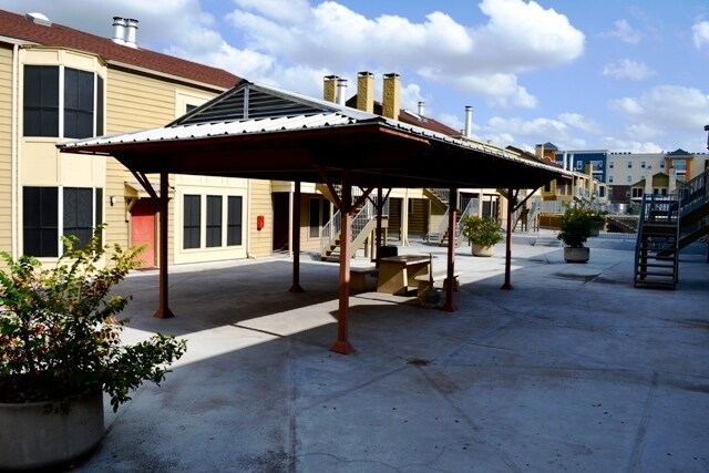 Photo - K056 - Orange Tree #79 Unidad 79