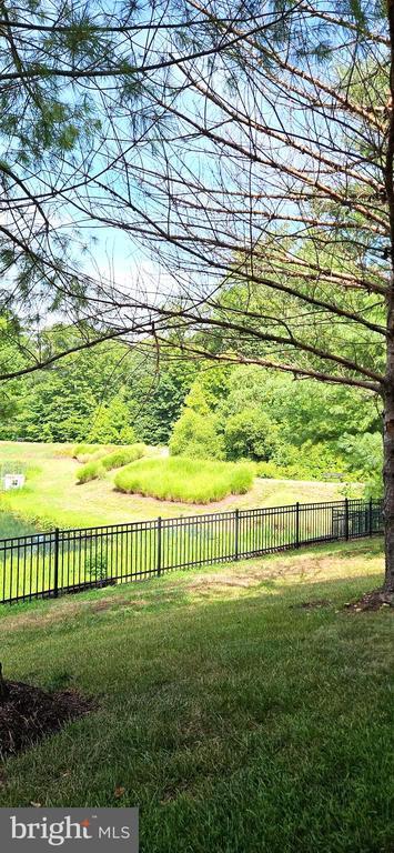 Building Photo - 12332 Rollys Ridge Ave