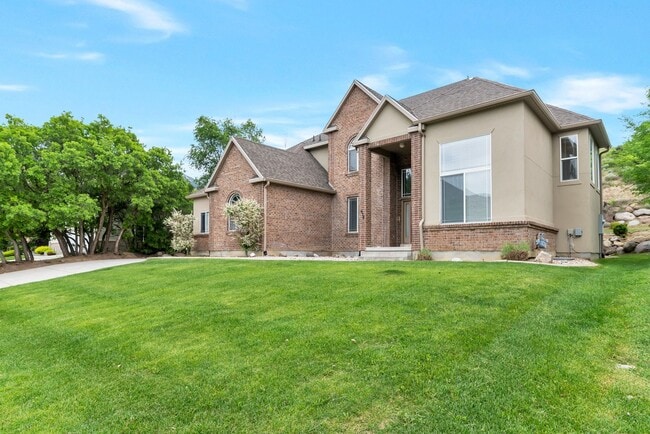 Photo - Jewel up in Alpine