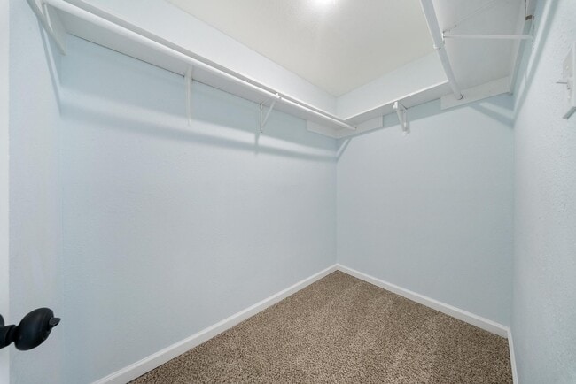 Photo - 1426 Twining Oaks Ln