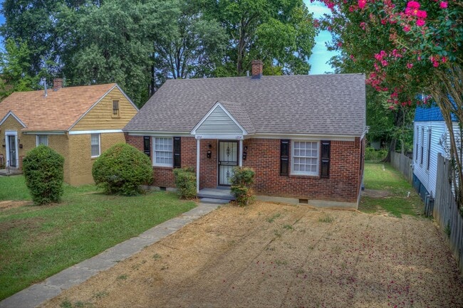 Building Photo - 1202/1204 Tutwiler Unit 1204 Tutwiler Rental