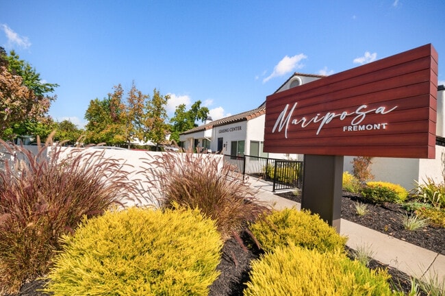Mariposa Fremont