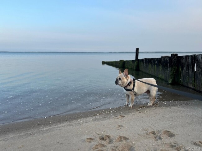 Photo - 105 Krause Rd