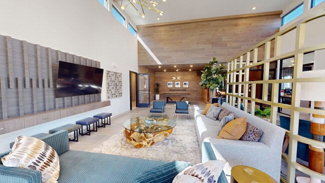 Photo - Legends Morgan Farms