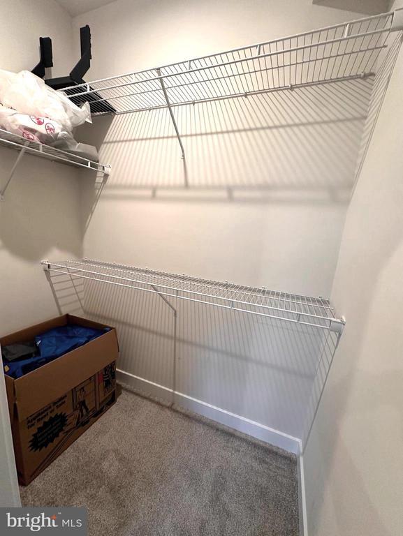 Photo - 19809 Habitat Ter