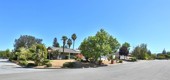 Saratoga single story home with Pool, and open Concept Living