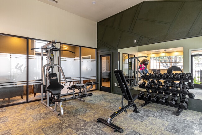 Gimnasio