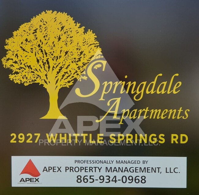 Photo - Springdale Apartments - Spacious 1 Bd - 1Ba Apartment in North Knox! Unidad #4