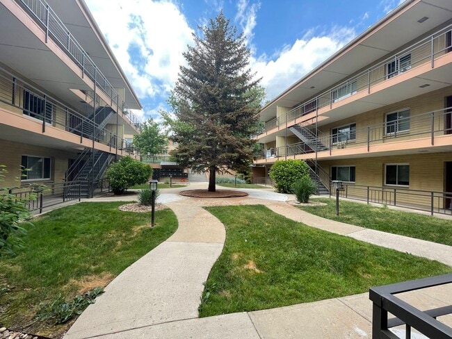 Photo - Spacious 1 Bed/1bath close to CU with Reserved Parking