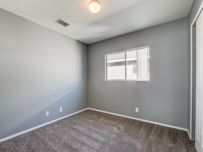 Photo - 307 Quince Flower