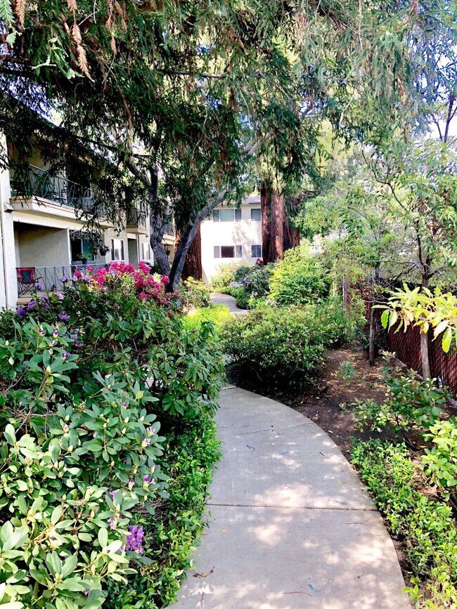 Photo - Noel Oaks Apartments