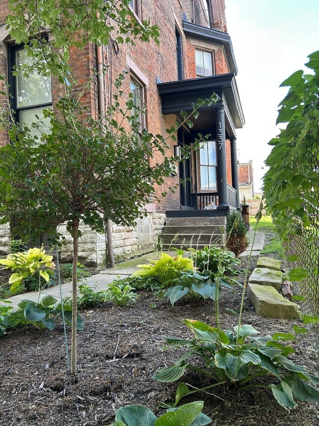 Building Photo - 1337 Scott St Unit 3 Rental