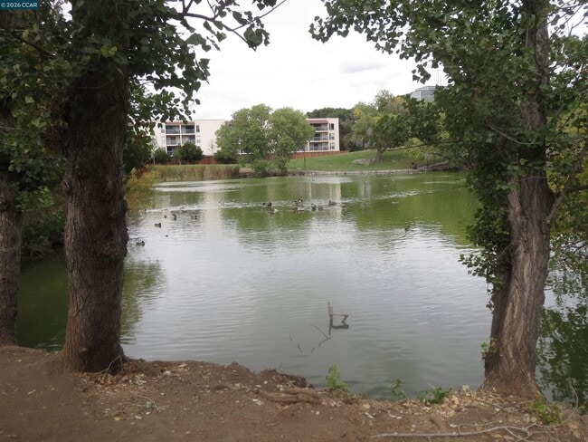 Photo - 1591 Ellis St Unit 220