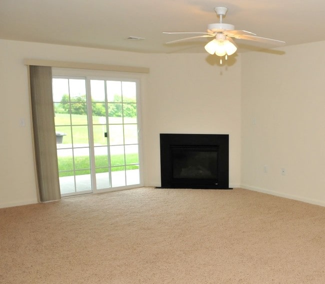 Gas Fireplace