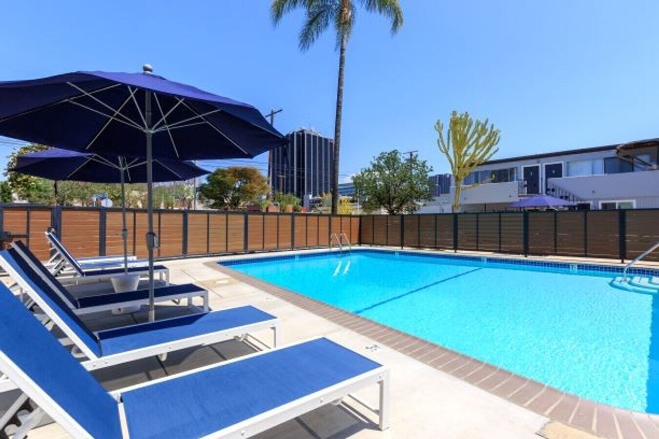 Photo - The DLP Hollywood