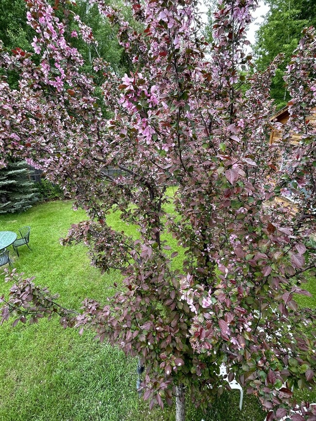 Photo - 439 S Tyler Ave