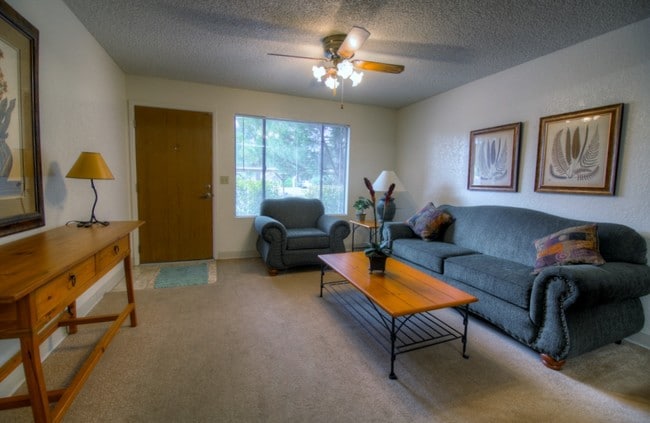 1 Bed 1 Bath Living Room