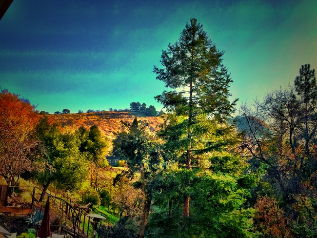 Photo - 555 La Vista Rd Unit 555 la vista rd e A