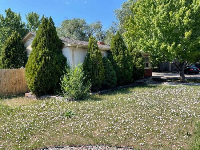 Photo - 1773 Palmer Park Blvd
