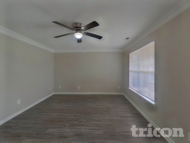 234 Amir Cir