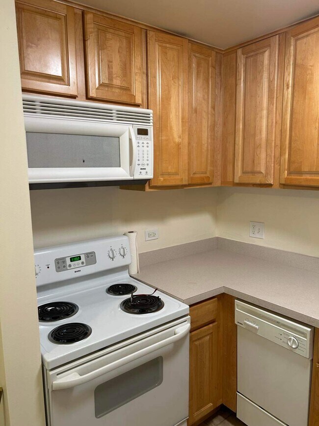 310 Lathrop Ave Condo Unit 407 Condo for Rent in Forest Park, IL