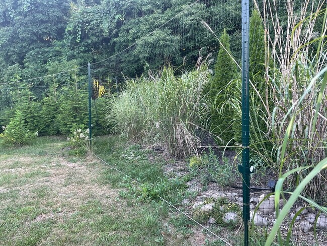 Photo - 5 Imperato Ct