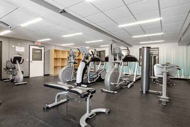 Gimnasio
