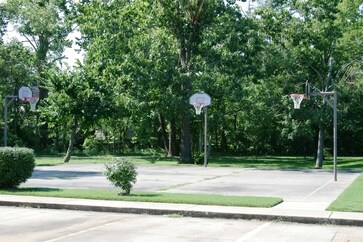 Basketball Court