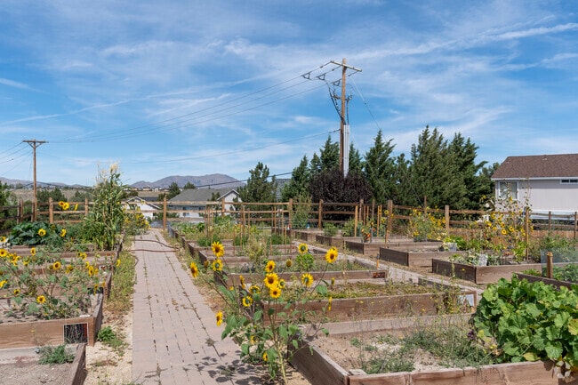 Community Garden
