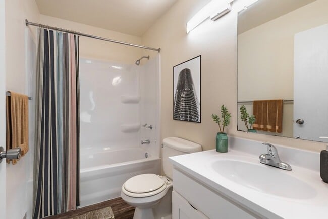 Image 6-28-23 at 10.42 AM - Spring Brook