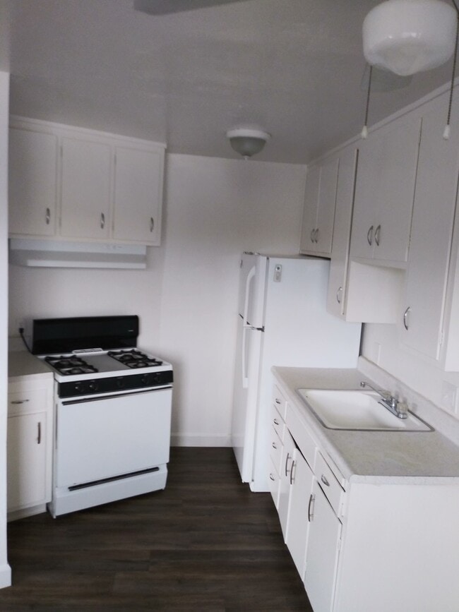 Photo - Orange Grove