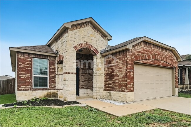 Photo - 150 Texas Thistle
