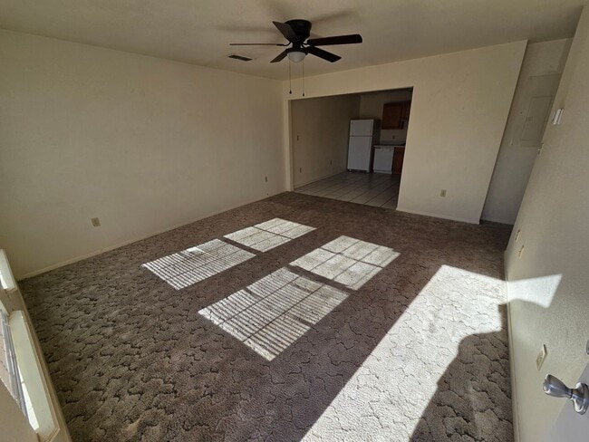 Photo - 2433 E 21st St Unit D (1202)