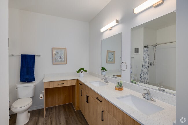 3BR, 2BA - 1,279SF - Primary Bathroom