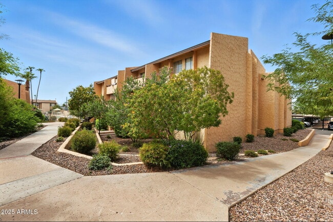 Building Photo - 8055 E Thomas Rd Unit N201 Rental