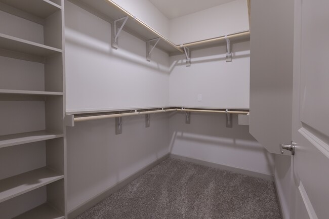 The Luxe at Cedar Hill 55+ Active Adult