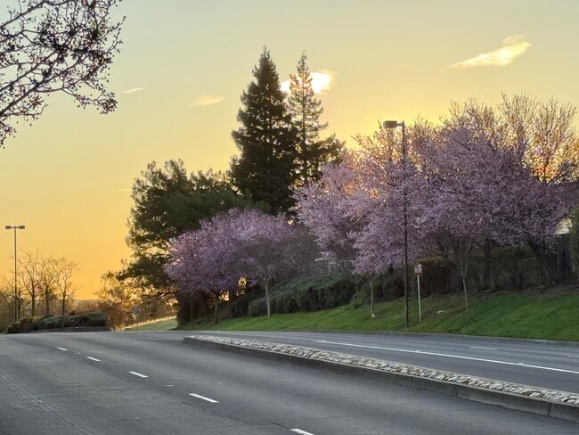 Photo - 2033 Silvercrest Dr