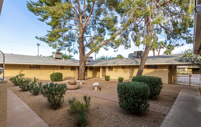 6242 N 12th Pl Unit 4