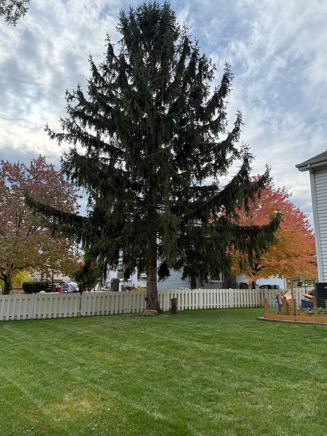 Photo - 284 Washo Dr