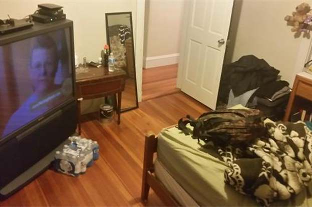 Photo - 35 Waverly St