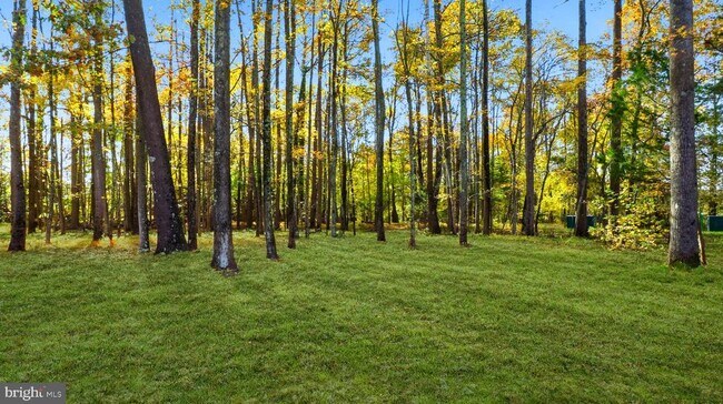 Photo - 14101 Kathleen Ln