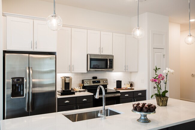 Devine; Sleek Stainless Steel Appliances and Single Basin Sink