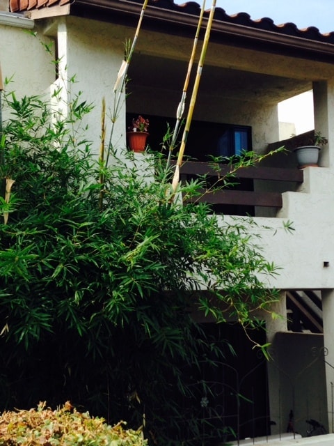 Balcony/Veranda - 2425 Cranston Dr Unit #218