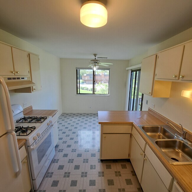 Kitchen with eat in area windows and ceiling fan - 226 Arrowwood Ct Unit 226 Arrowwood Ct D2