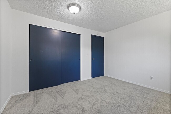 Photo - Cascade Firs