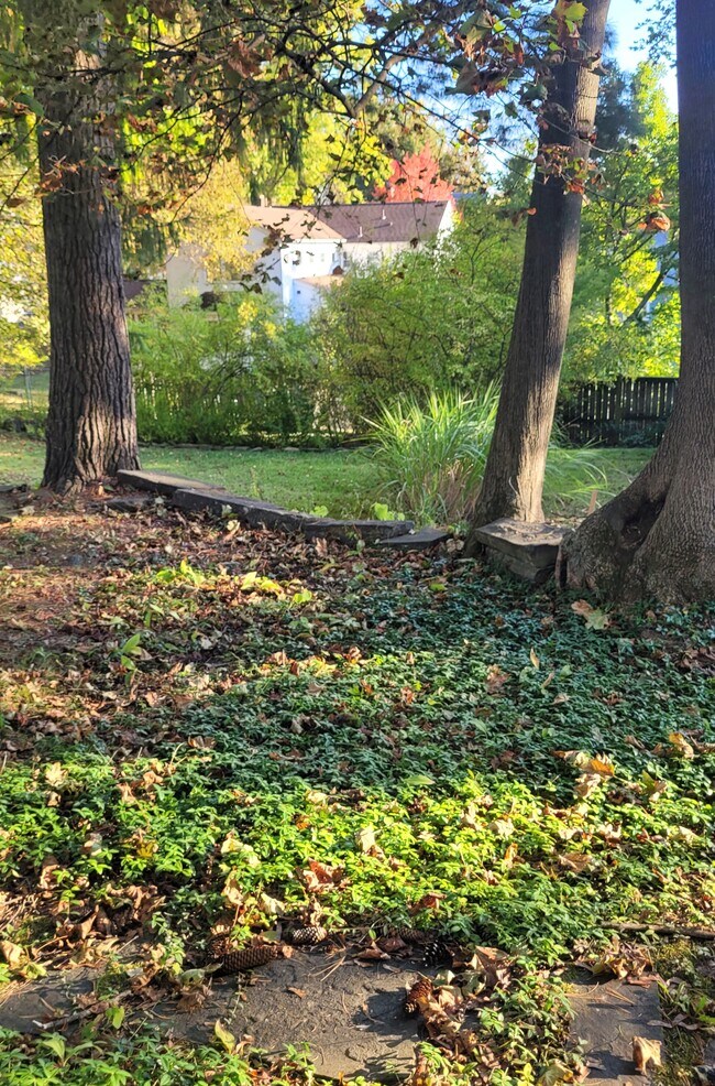 Photo - 423 Mitchell St