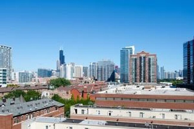 Photo - South Loop Chicago 1 Bed 1 Bath Apartment