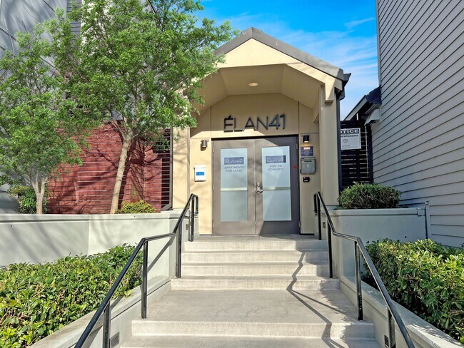 Elan 41