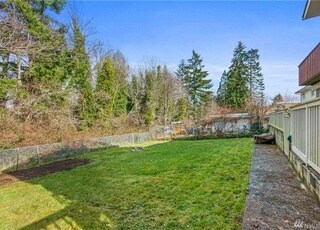 back yard - 1226 Bayview Ave Unit Daylight